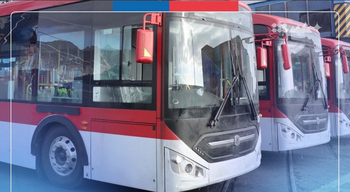 buses-villarrica