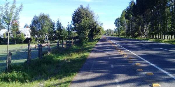 carretera ñancul