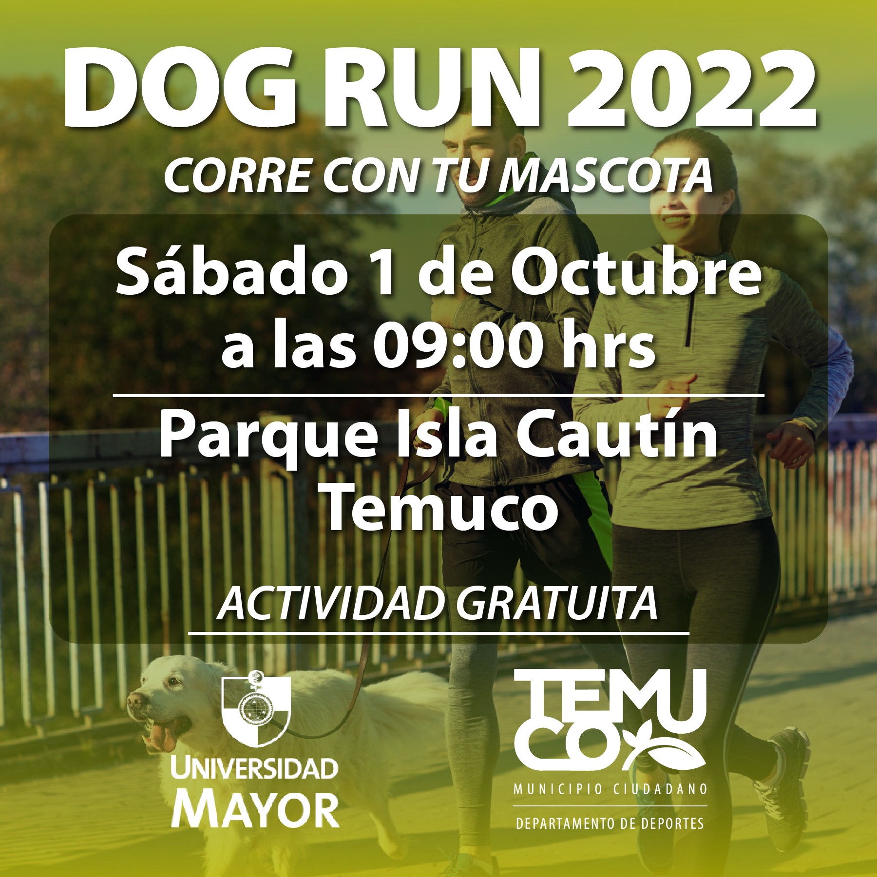 Dog Run 2022