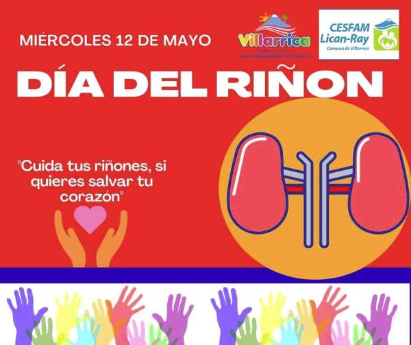 Equipos de salud del Cesfam de Licán Ray se suman a actividades del Día Mundial del Riñón