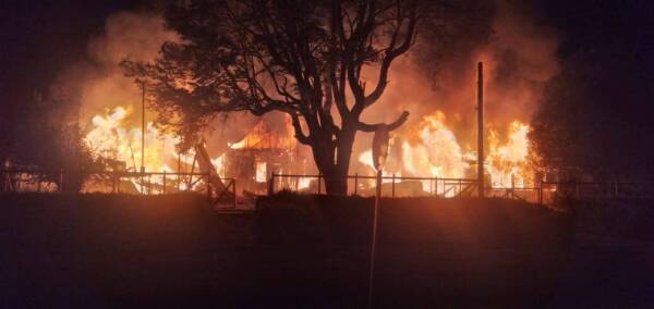 Imagen de WhatsApp 2022-11-10 a las 06.35.47