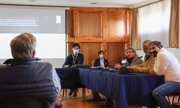 IMAGEN4