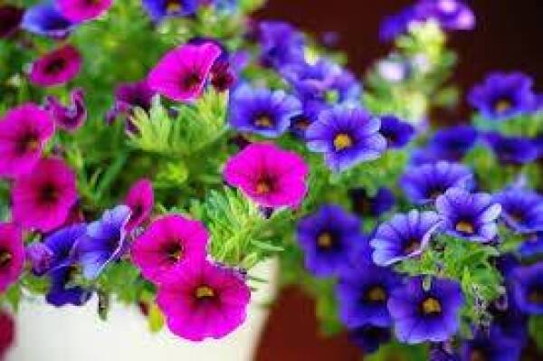 images (7)