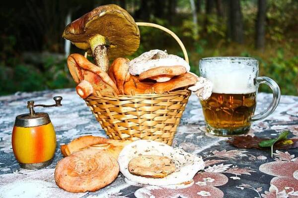 mushrooms-beer-table-still-life-forest-lactarius-deliciosus