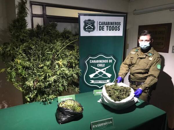PitrufquénIncautaciónDroga