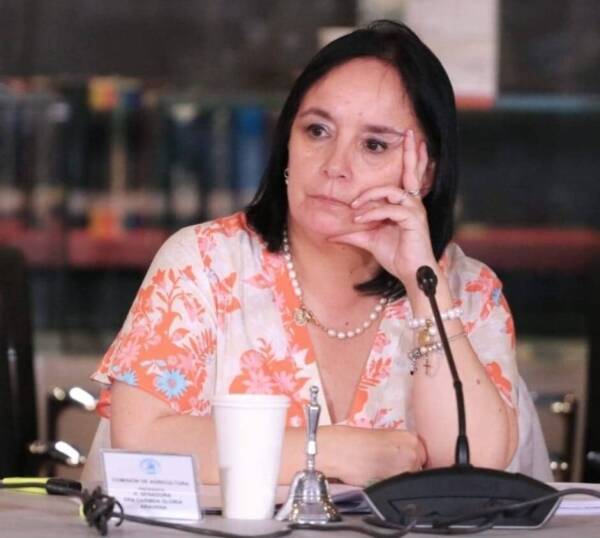 Senadora Aravena