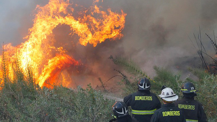  SENAPRED Informa 8 Fallecidos En Balance De Afectación Por Incendios Forestales En La Araucanía