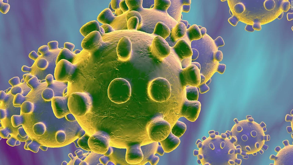  Ya Son 56 Casos Confirmados de Coronavirus en La Araucanía