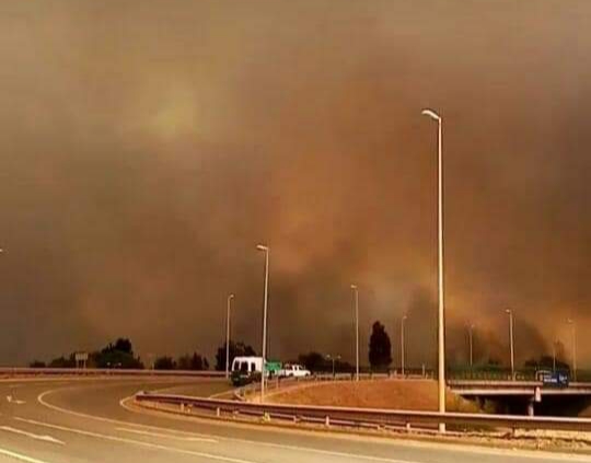  Onemi Ordena Evacuación de Sector Las Toscas Por Incendio Forestal en Collipulli