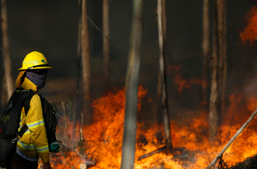  Onemi Declara Alerta Roja Por Incendio Forestal en Purén
