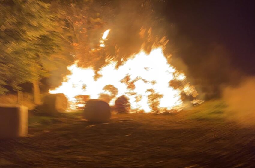  Incendio Calificado de «Acto Malicioso» Destruyó 90 Bolos de Silos en Pitrufquén
