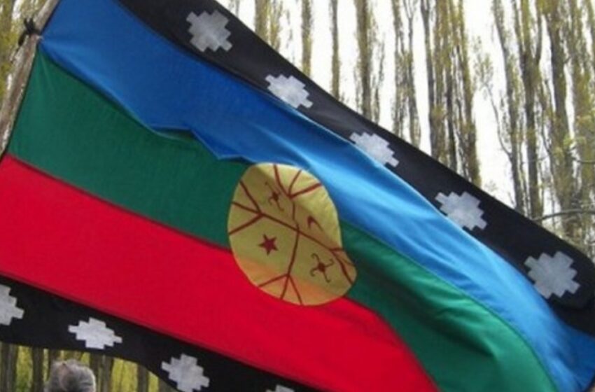  Comunidades Mapuches Realizan Toma de Fundos en Freire
