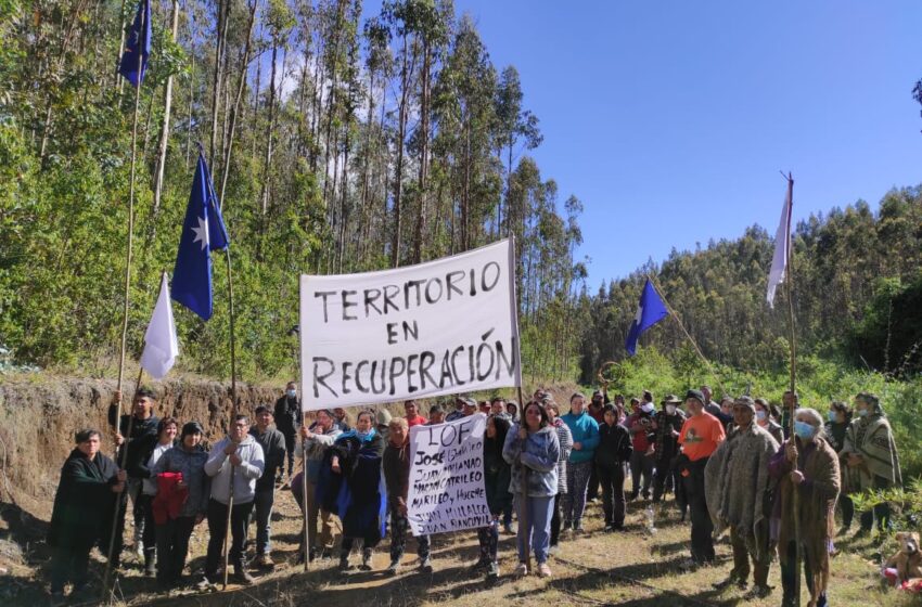  Comunicado Público De Comunidades Mapuches Respecto A Toma De Sitio Actualmente Perteneciente A Empresa Forestal De La Comuna De Imperial