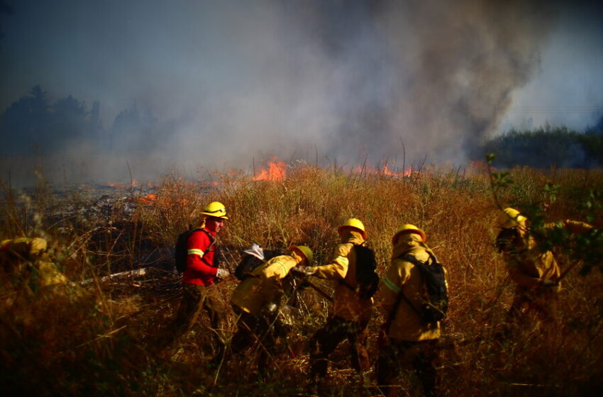  Cuatro Incendios Forestales Mantienen en Alerta Roja a Galvarino