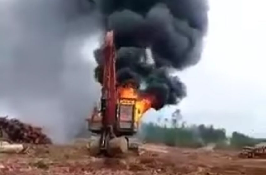  8 Máquinas Forestales Fueron Destruidas en Ataque Incendiario en Toltén