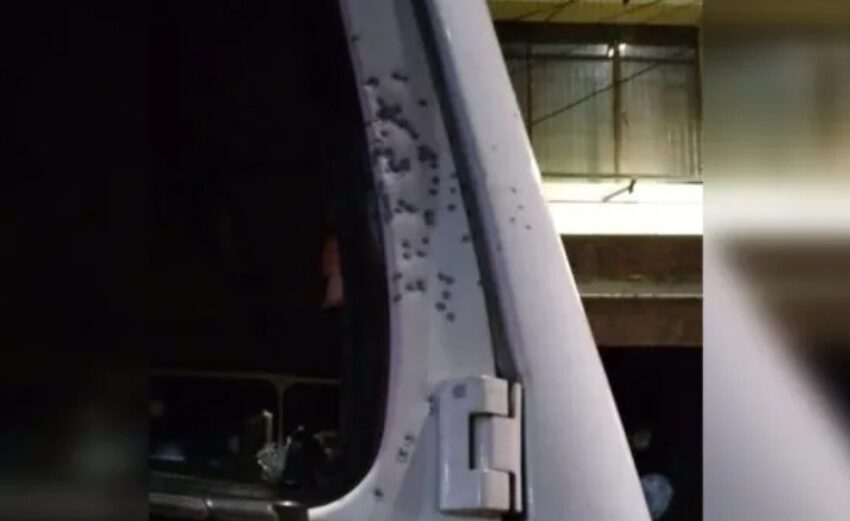  Camión Aljibe de Bomberos Fue Atacado a Balazos en Victoria