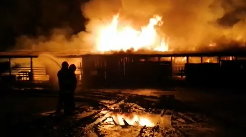  Detienen a Hombre Por Ataque Incendiario a Fundo La Vega de Centenario en Lumaco