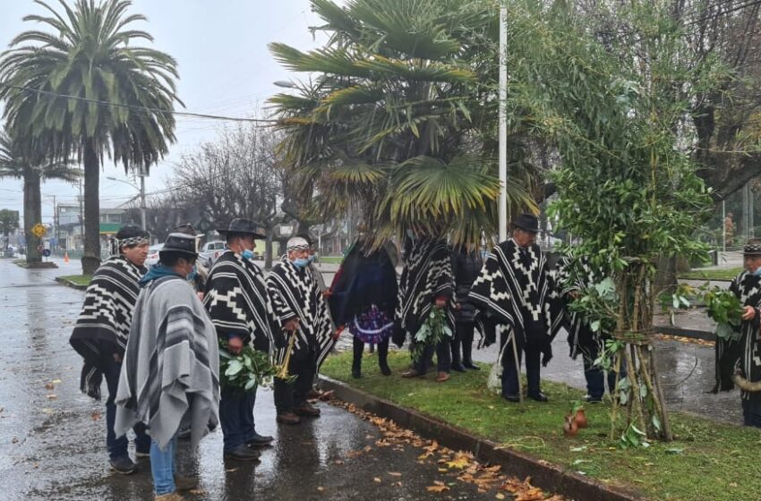  Izan Bandera Mapuche Por Quinto Año Consecutivo en Frontis Del Municipio de Pitrufquén