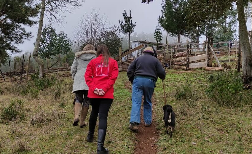  Adultos Mayores Son Favorecidos Con Importante Ayuda Social en Sector Rural de Pitrufquén