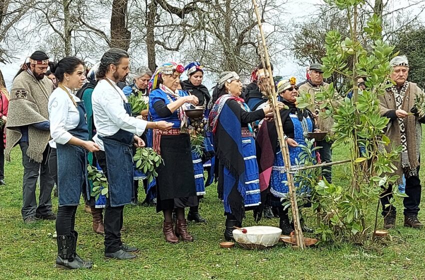  Iniciativa turística mapuche apoyada por CONADI será difundida por chef en programa de televisión gastronómico