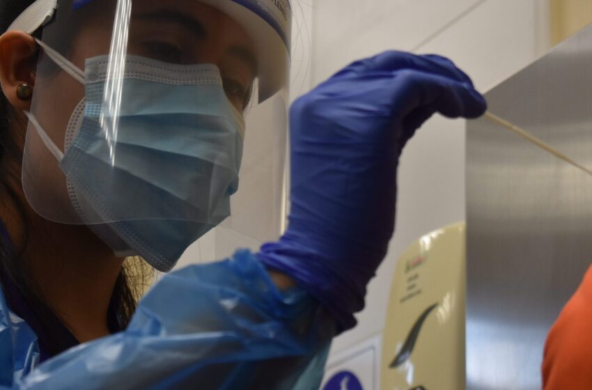  Informe Covid: 2.189 Test PCR, 5 Pacientes En Ventilación Mecánica Y 161 Los Casos Activos Hoy En La Araucanía