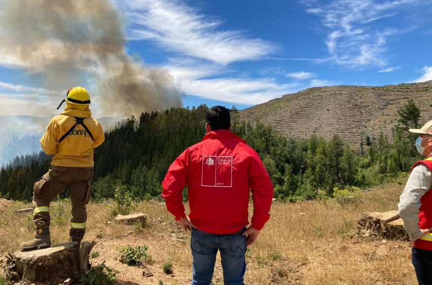  Más De Mil Hectáreas De Agricultores Fueron Afectadas Por Los Incendios Forestales En La Araucanía
