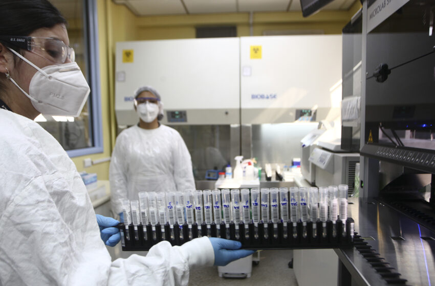  Hoy Son 96 Los Nuevos Contagios Confirmados De COVID Con 1.561 PCR Realizados En La Araucanía
