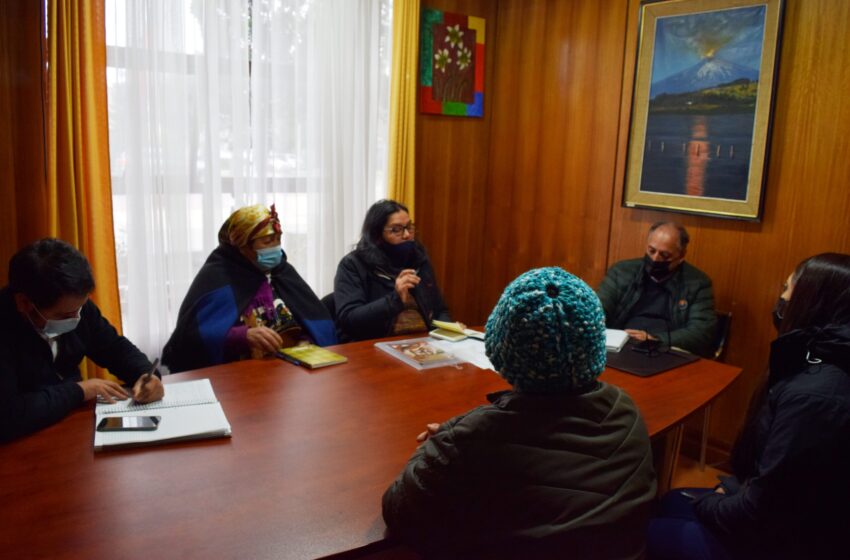  Mesa Mujer Rural De Villarrica Inicia Trabajo Conjunto Con El Municipio