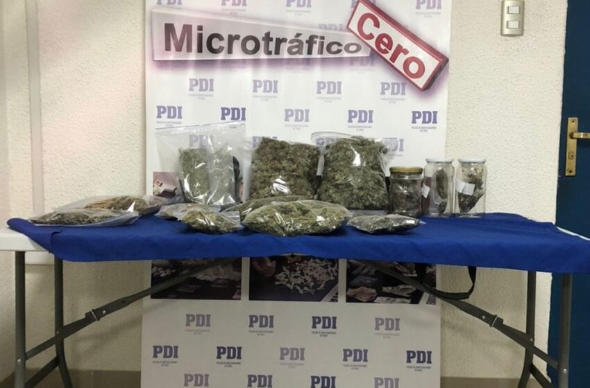  Equipo Microtrafico Cero Lautaro incauta cerca de 4 kilos de cannabis en Galvarino