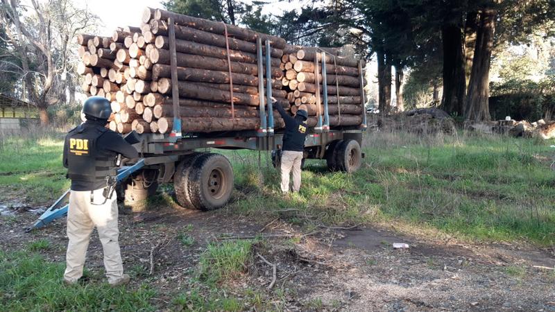  PDI detuvo a seis personas por hurto de madera en predio forestal