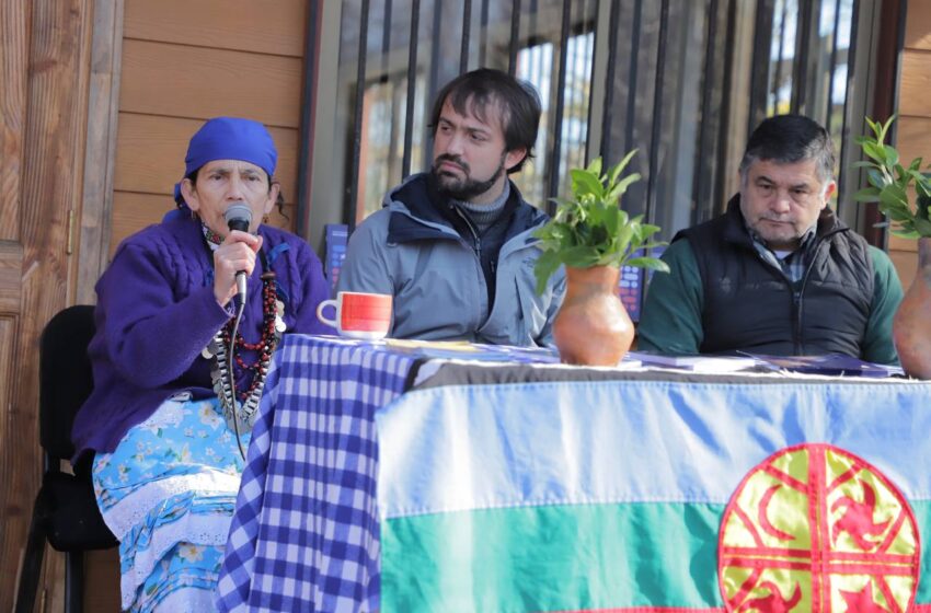  Francisca Linconao: «Hago Un Llamado A La Gente Mapuche O No Mapuche Para Que Voten Apruebo»