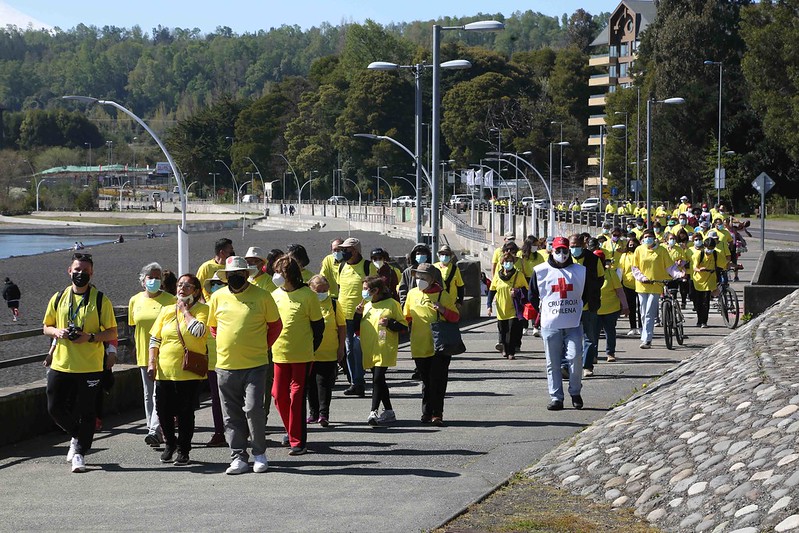  Con Masiva Caminata Familiar En Villarrica Se Celebrará Este Sábado El Día Del Adulto Mayor