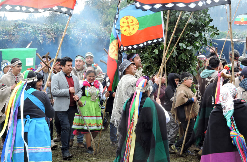  Comunidad Mapuche Realiza Ceremonia Post Pandemia Para Recibir Tierras De CONADI