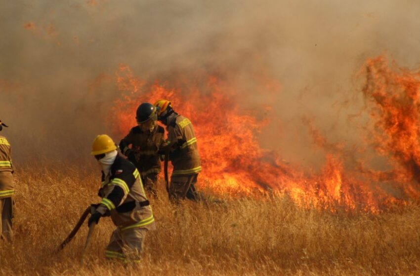  Proyectan Compleja Temporada De Incendios Forestales Por Calor Y Sequía