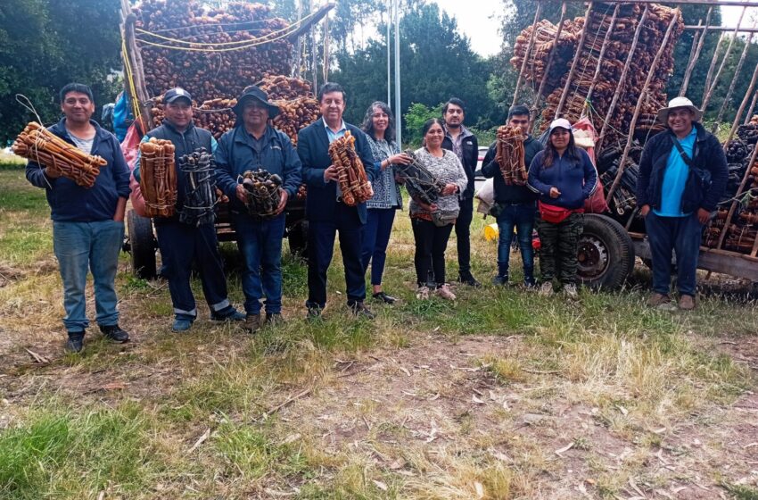  Bienes Nacionales Apoya A Cochayuyeros De Tirúa Y Concede Permiso De Terreno Para Que Puedan Dejar Sus Animales