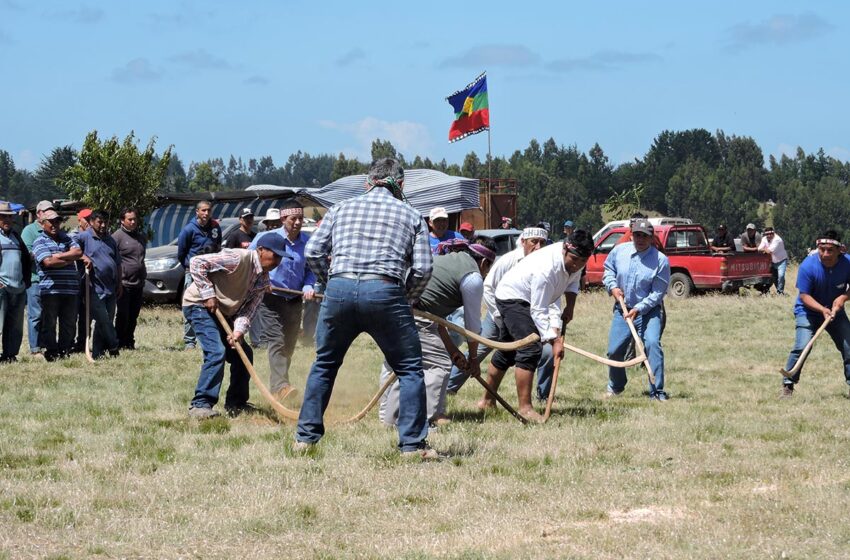  Comunidades Mapuche Del Budi Se Reunieron Con Ministro De Agricultura Y Realizaron Encuentro De Palin