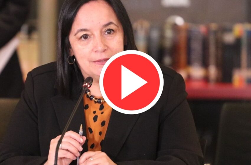  Senadora Carmen Gloria Aravena Por Indulto: » Son A Delincuentes Y Un Ex Frentista»