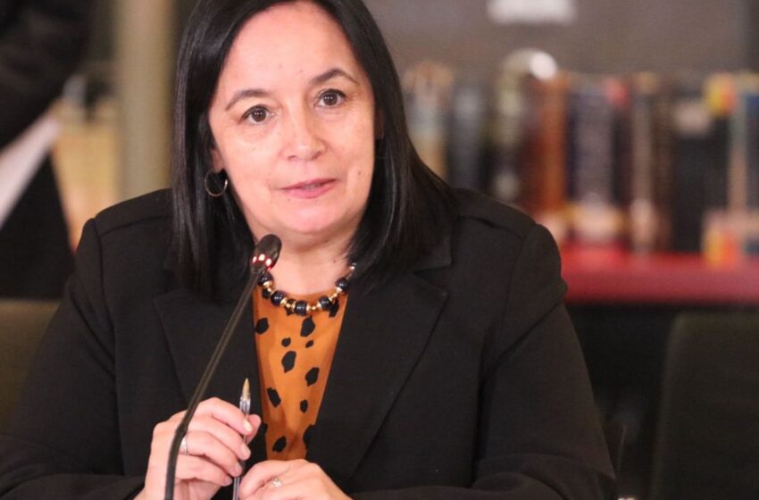  Senadora Aravena (Ind-RN) Anunció Que Votará En Contra De Un Nuevo Consejo Constituyente