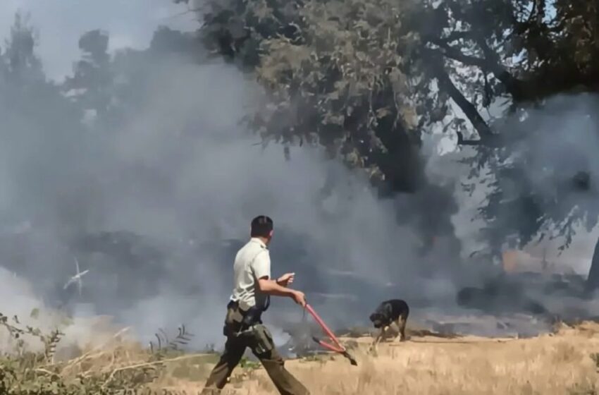 En Pillanlelbún Carabinero Rescata A Perrito Que Estaba Encadenado Durante Un Incendio