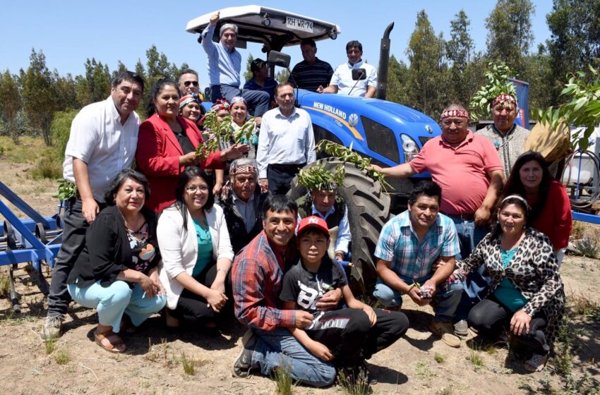  CONADI Destinó $65 Millones Para Adquirir Maquinaria Agrícola A Comunidad De Cholchol Que Recibió Tierras