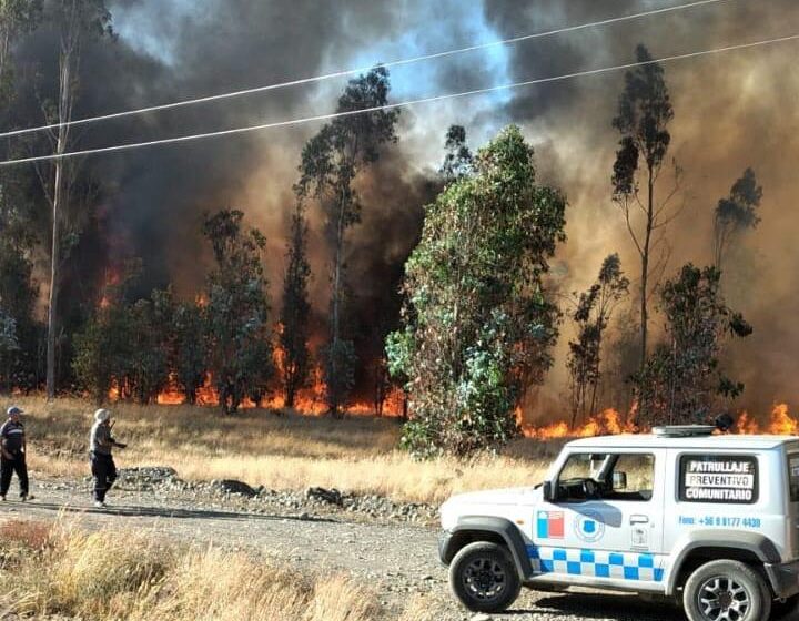  Pitrufquén Y Angol Están En Alerta Roja Por Incendios Forestales Y Comportamiento Errático Del Fuego