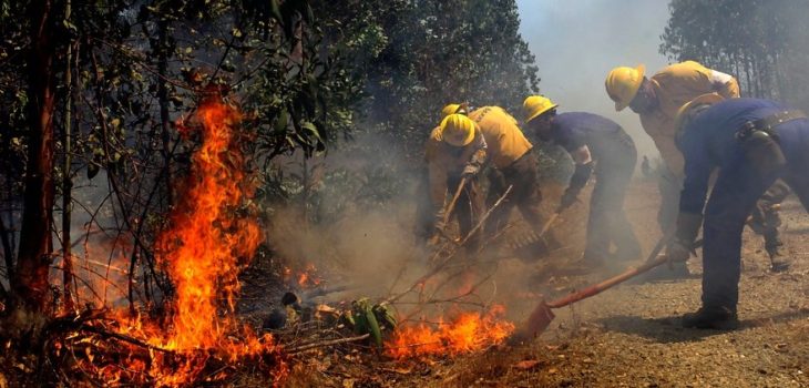  Municipios De Temuco Y Viña Del Mar Firman Alianza Colaborativa Para Combatir Incendios Forestales