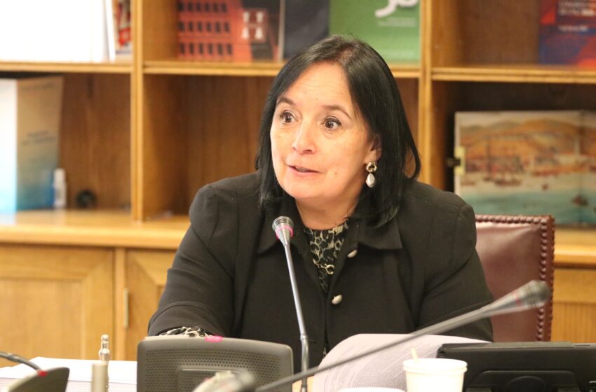  Senadora Carmen Gloria Aravena Valora Apronte De Gobierno Para Despliegue De Militares En Pasos Fronterizos