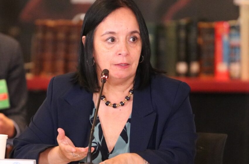  Senadora Carmen Gloria Aravena Aprueba Medida Del Gobierno Que Permite El Despliegue Militar En La Frontera Norte Del País