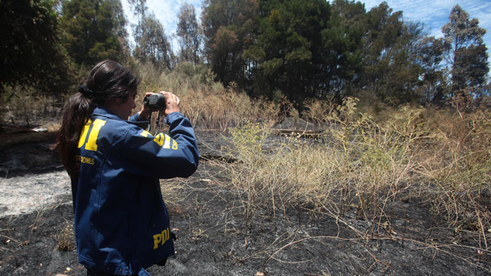  SOFO Pide Intervención «Inmediata» De Las FF.AA. Para Frenar Incendios Intencionales En La Araucanía
