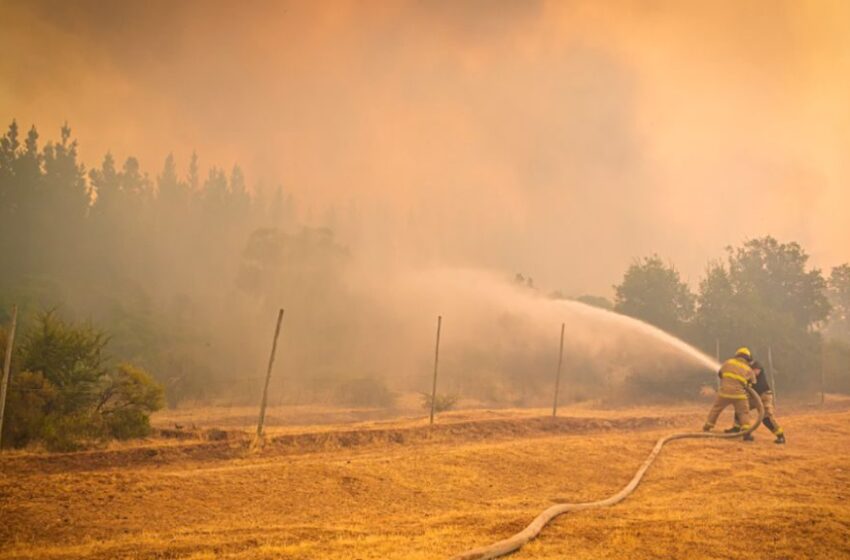  Monitoreo De SENAPRED Indica 337 Viviendas Destruidas En La Araucanía Por Incendios Forestales