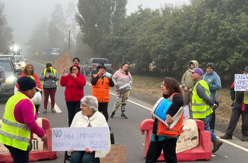  En Pitrufquén Vecinos De Villa Los Galpones Cortaron La Ruta En Protesta Por Más Seguridad Vial