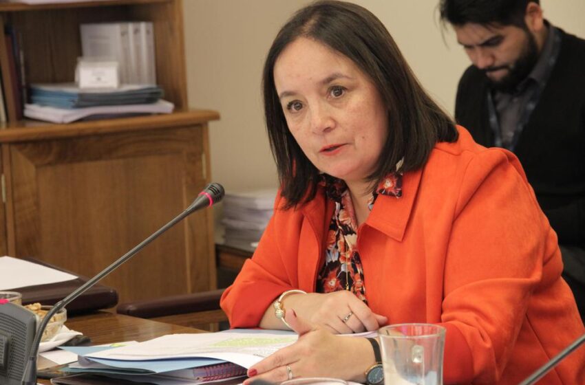  Senadora Aravena Y Aprobación De Proyecto De Usurpación En Comisión De Seguridad Pública