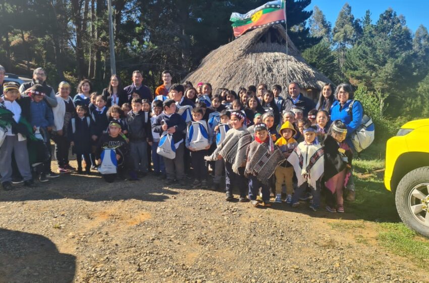 “Escuela Con Energía” De Frontel Llegó A Siete Comunas De Las Provincias De Cautín Y Malleco