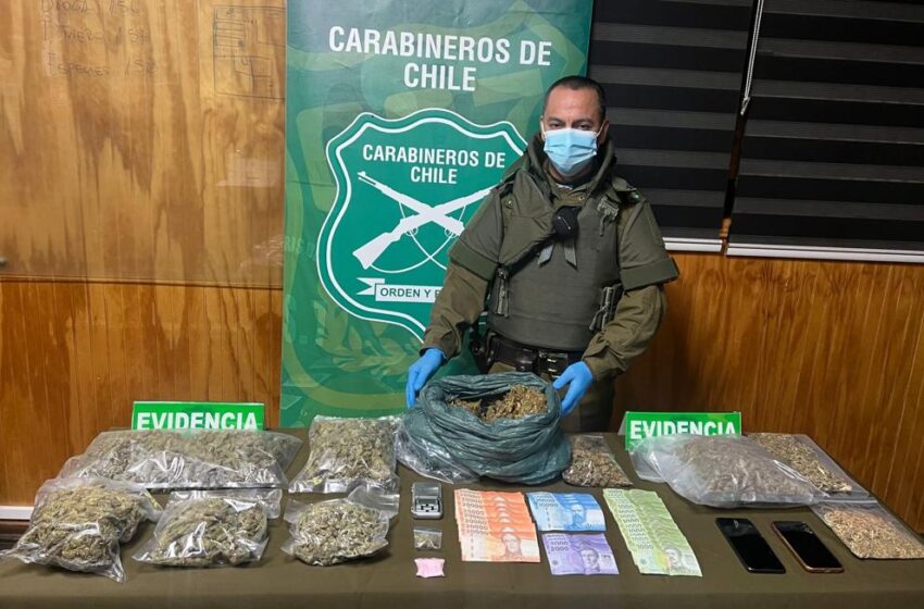  Tres Detenidos Y Más De $70 Millones En Marihuana Incautada Deja Operativo En Lanco Y Pucón